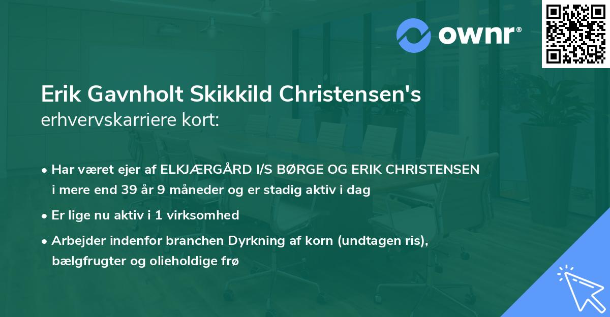 Erik Gavnholt Skikkild Christensen's erhvervskarriere kort