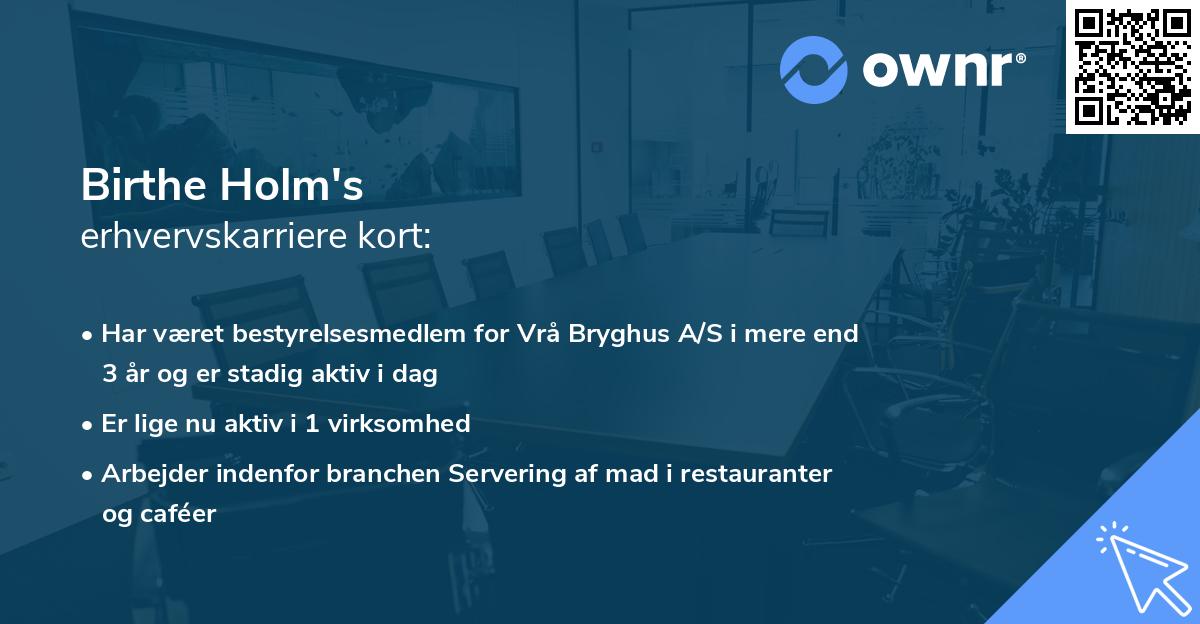Birthe Holm's erhvervskarriere kort