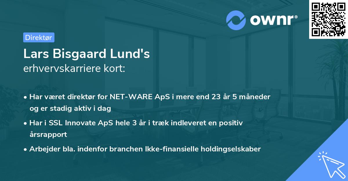 Lars Bisgaard Lund's erhvervskarriere kort