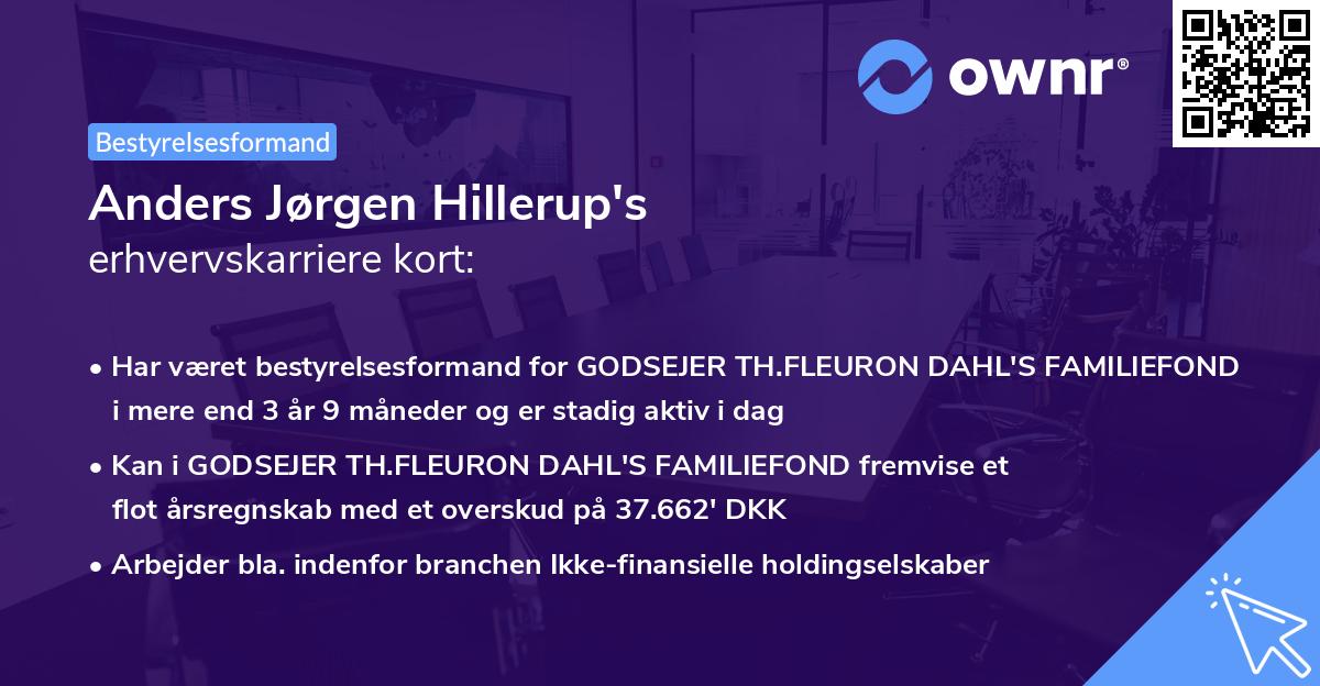 Anders Jørgen Hillerup's erhvervskarriere kort