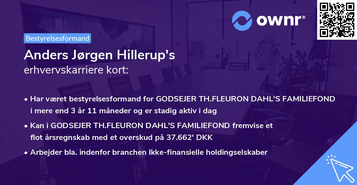 Anders Jørgen Hillerup's erhvervskarriere kort