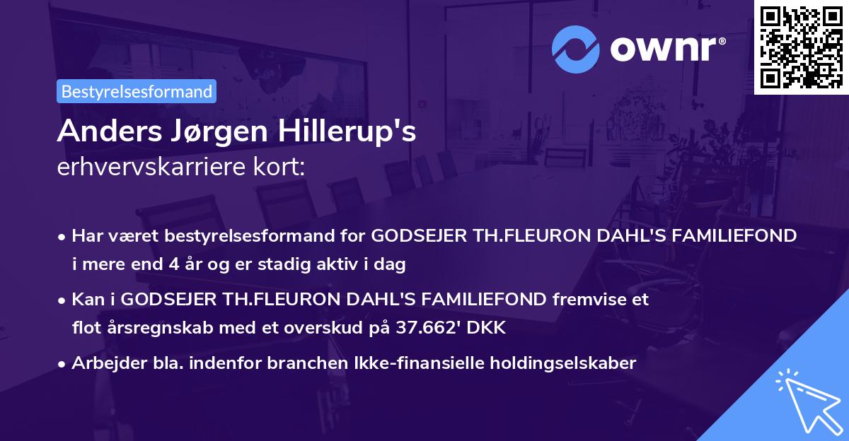 Anders Jørgen Hillerup's erhvervskarriere kort