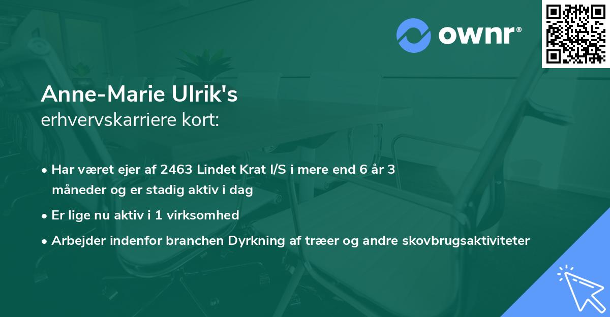 Anne-Marie Ulrik's erhvervskarriere kort