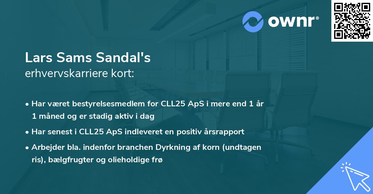 Lars Sams Sandal's erhvervskarriere kort