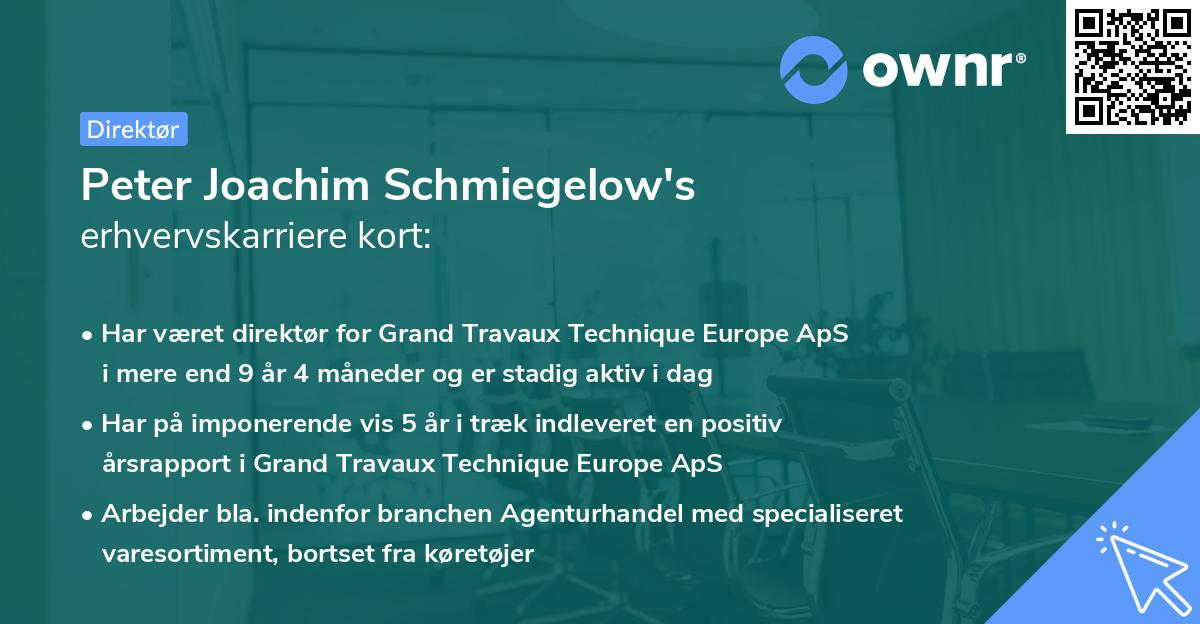 Peter Joachim Schmiegelow's erhvervskarriere kort
