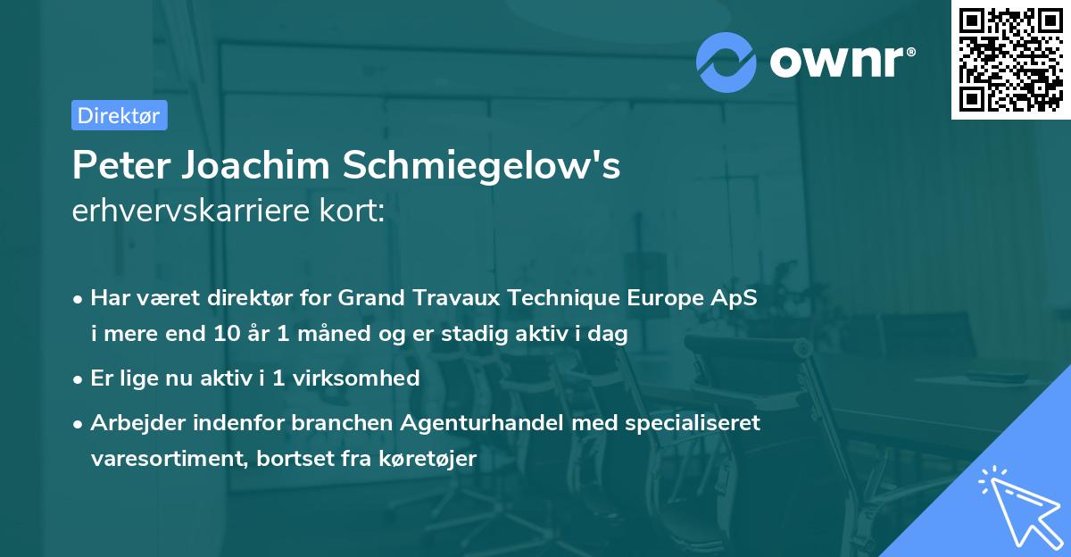 Peter Joachim Schmiegelow's erhvervskarriere kort
