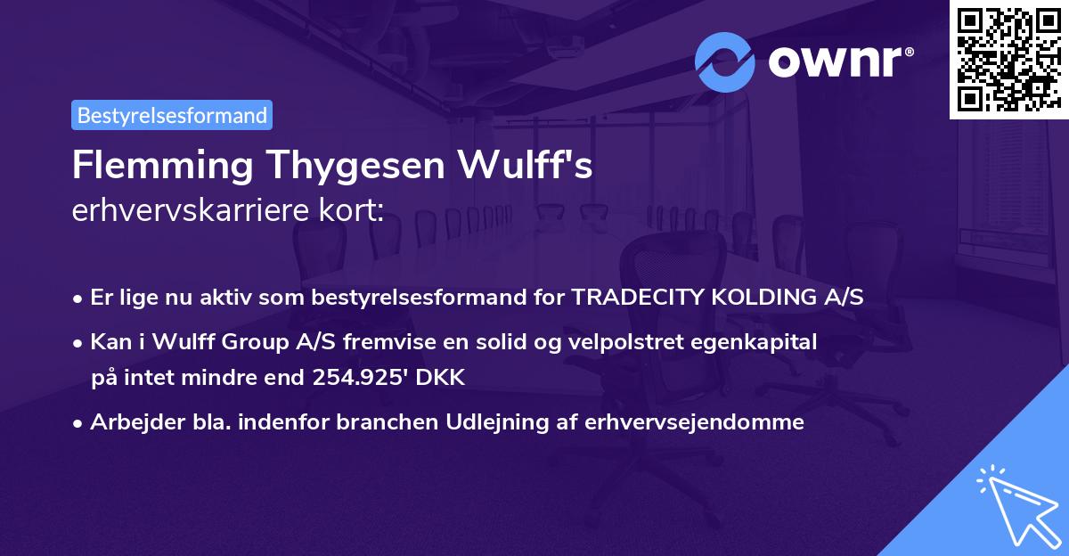 Flemming Thygesen Wulff's erhvervskarriere kort