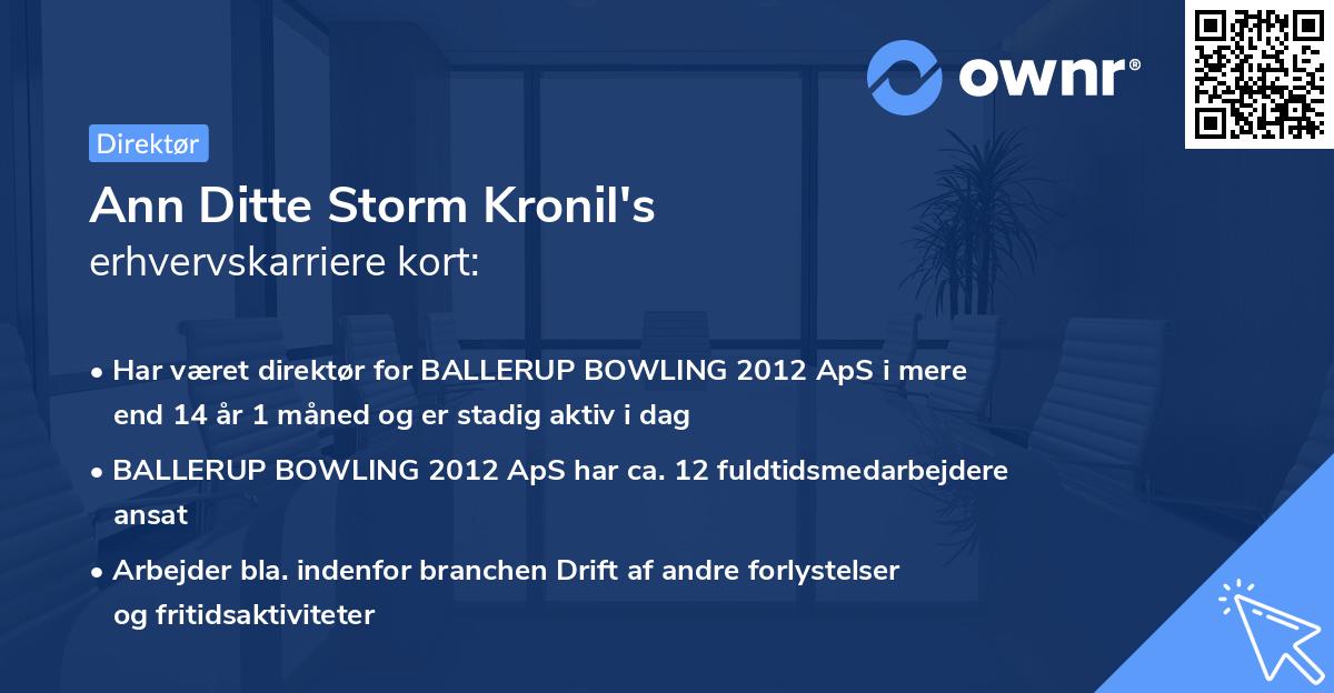 Ann Ditte Storm Kronil's erhvervskarriere kort