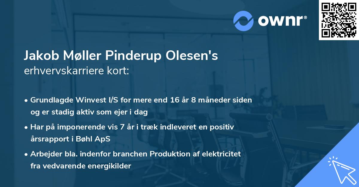 Jakob Møller Pinderup Olesen's erhvervskarriere kort