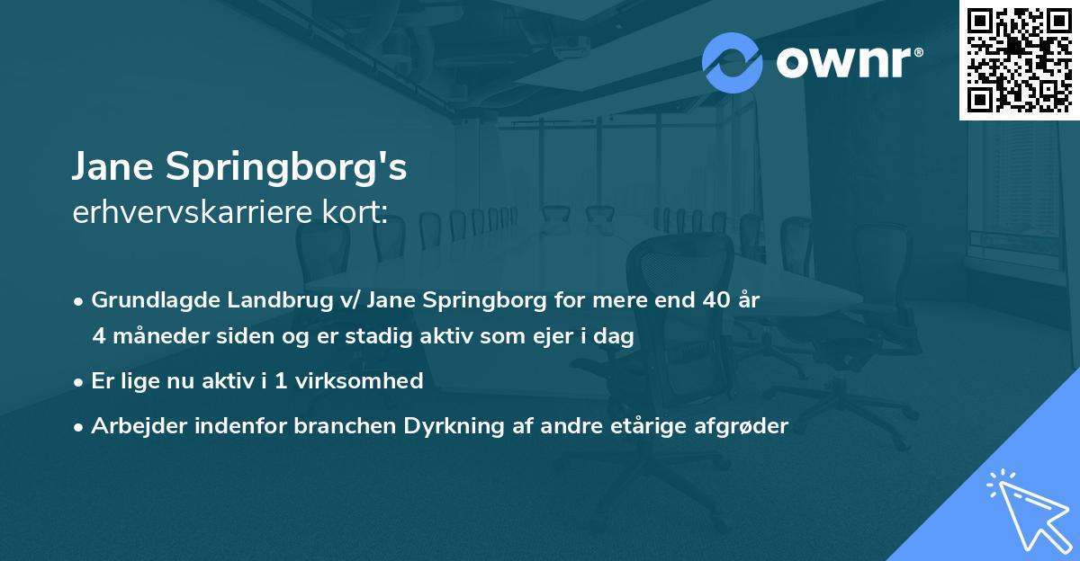 Jane Springborg's erhvervskarriere kort