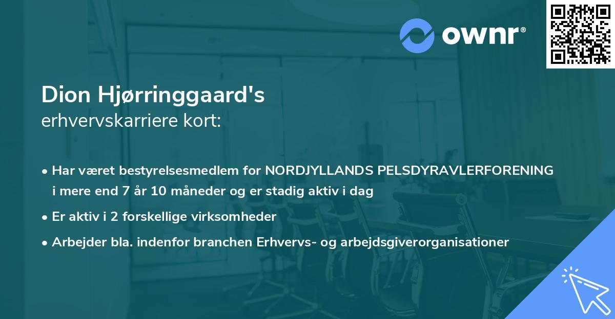 Dion Hjørringgaard's erhvervskarriere kort