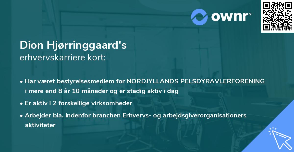 Dion Hjørringgaard's erhvervskarriere kort