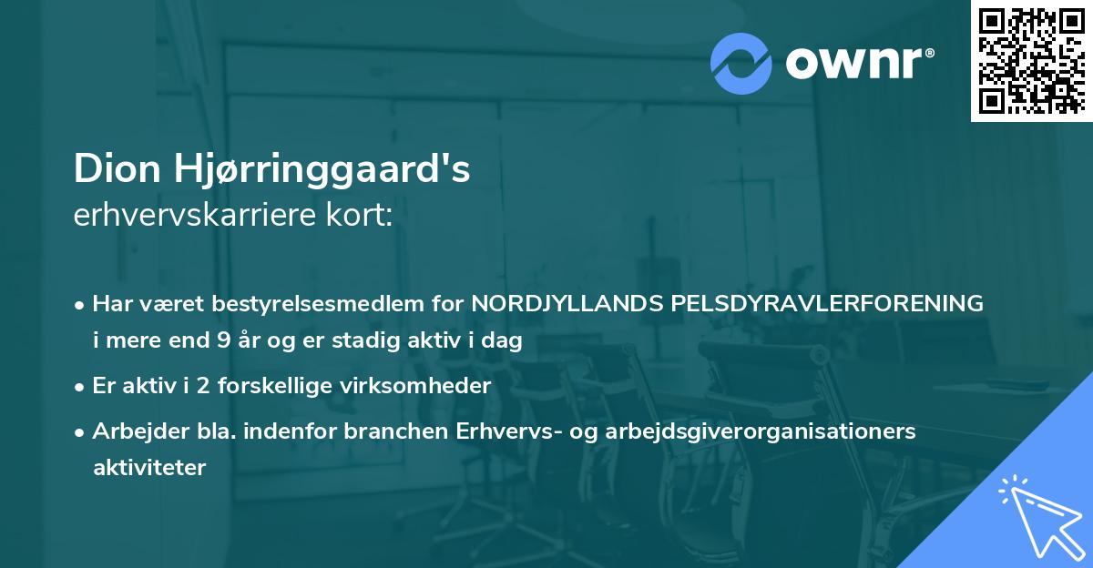 Dion Hjørringgaard's erhvervskarriere kort