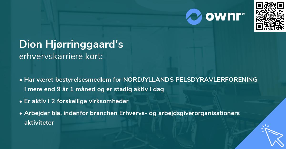 Dion Hjørringgaard's erhvervskarriere kort