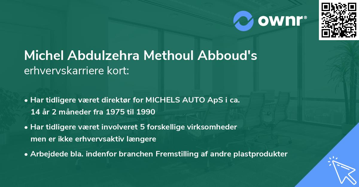 Michel Abdulzehra Methoul Abboud's erhvervskarriere kort
