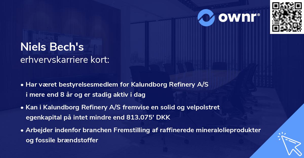 Niels Bech's erhvervskarriere kort