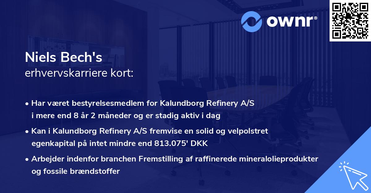 Niels Bech's erhvervskarriere kort