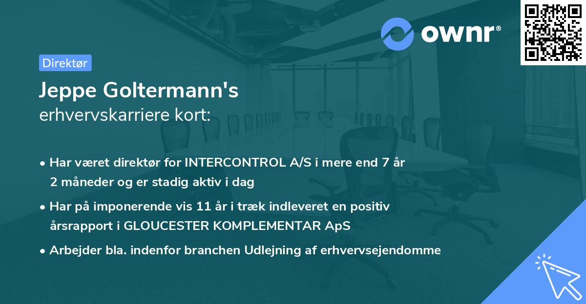 Jeppe Goltermann's erhvervskarriere kort