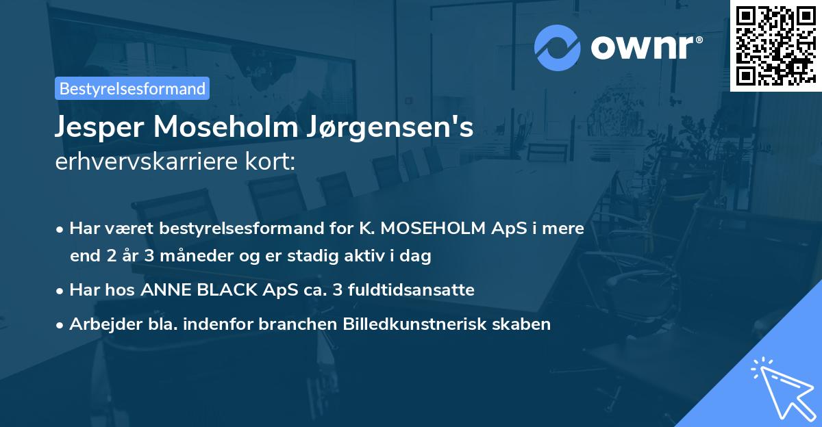 Jesper Moseholm Jørgensen's erhvervskarriere kort