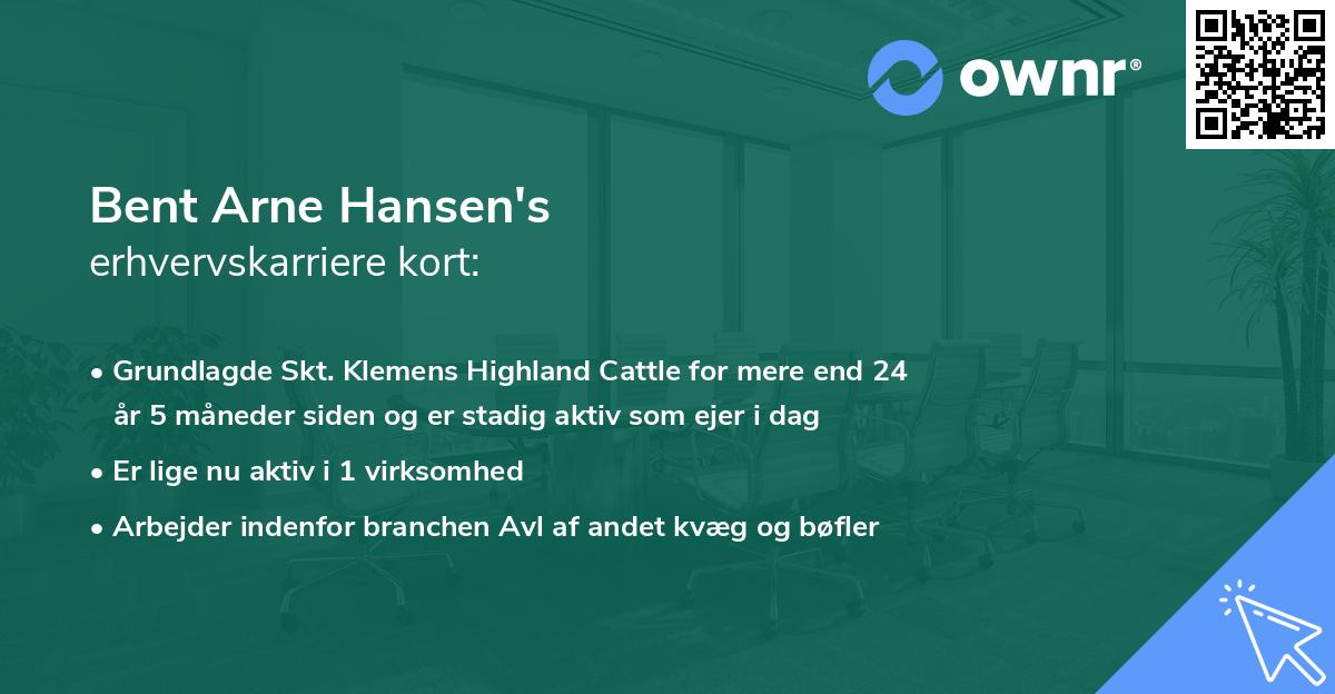 Bent Arne Hansen's erhvervskarriere kort