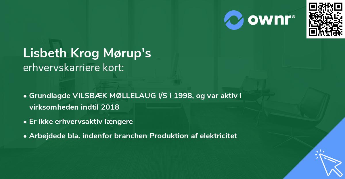 Lisbeth Krog Mørup's erhvervskarriere kort