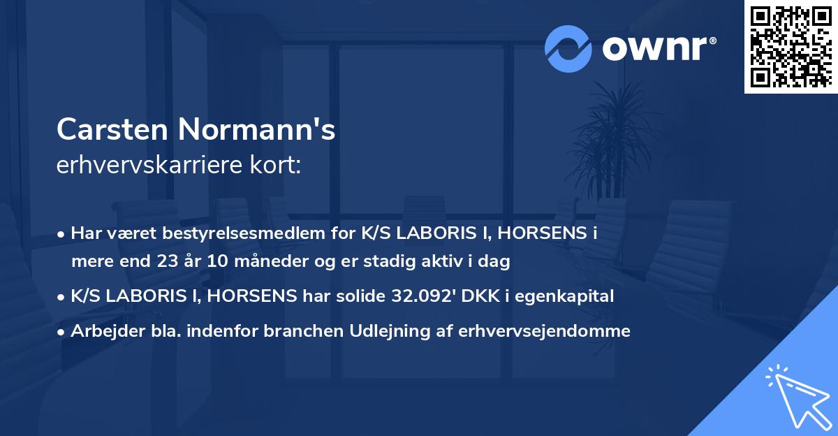 Carsten Normann's erhvervskarriere kort