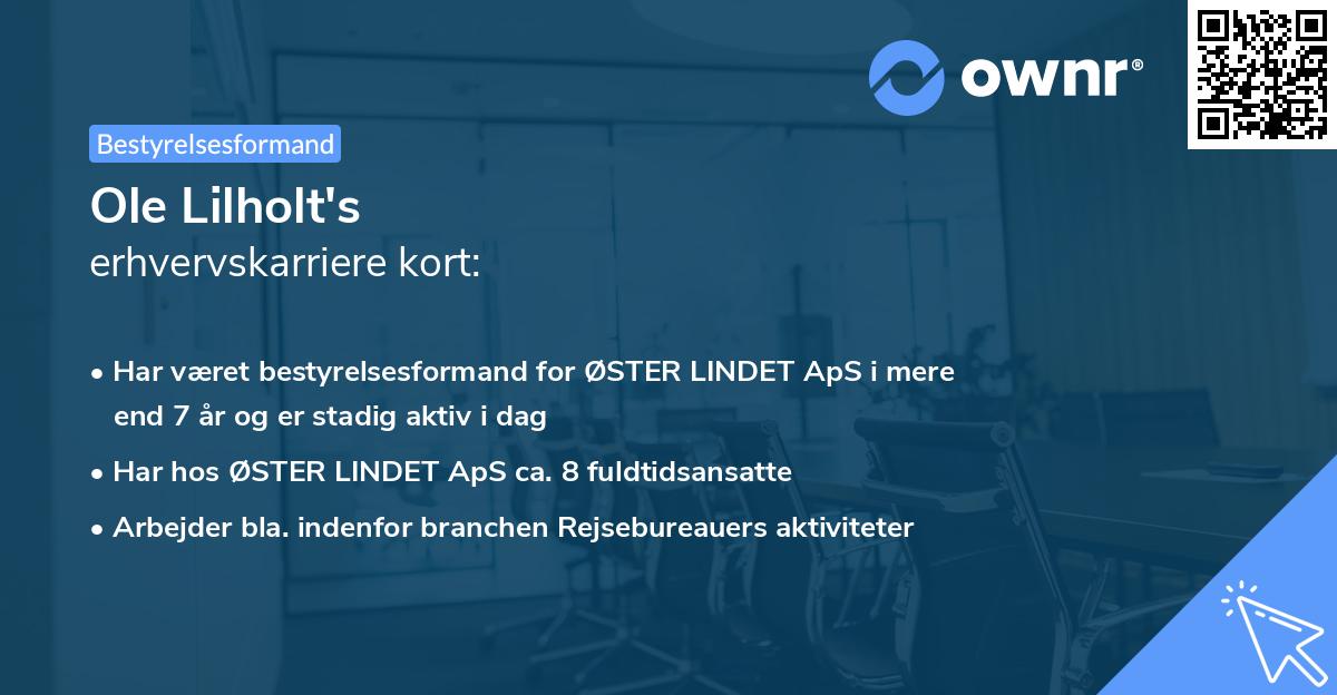 Ole Lilholt's erhvervskarriere kort