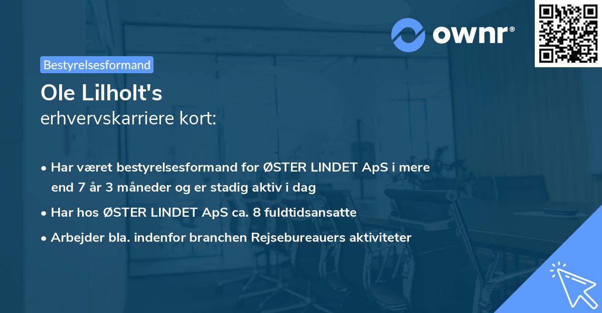 Ole Lilholt's erhvervskarriere kort