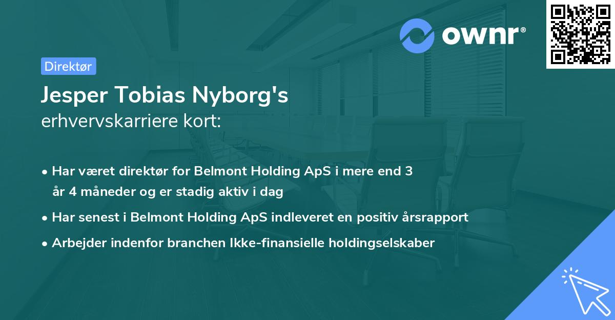 Jesper Tobias Nyborg's erhvervskarriere kort
