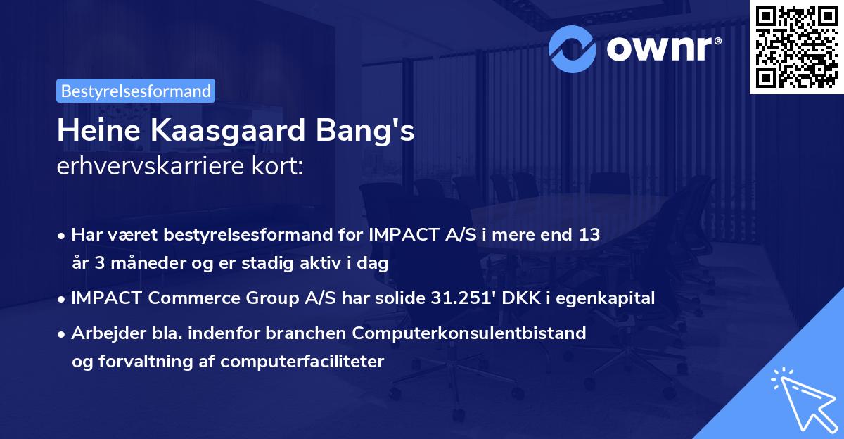 Heine Kaasgaard Bang's erhvervskarriere kort
