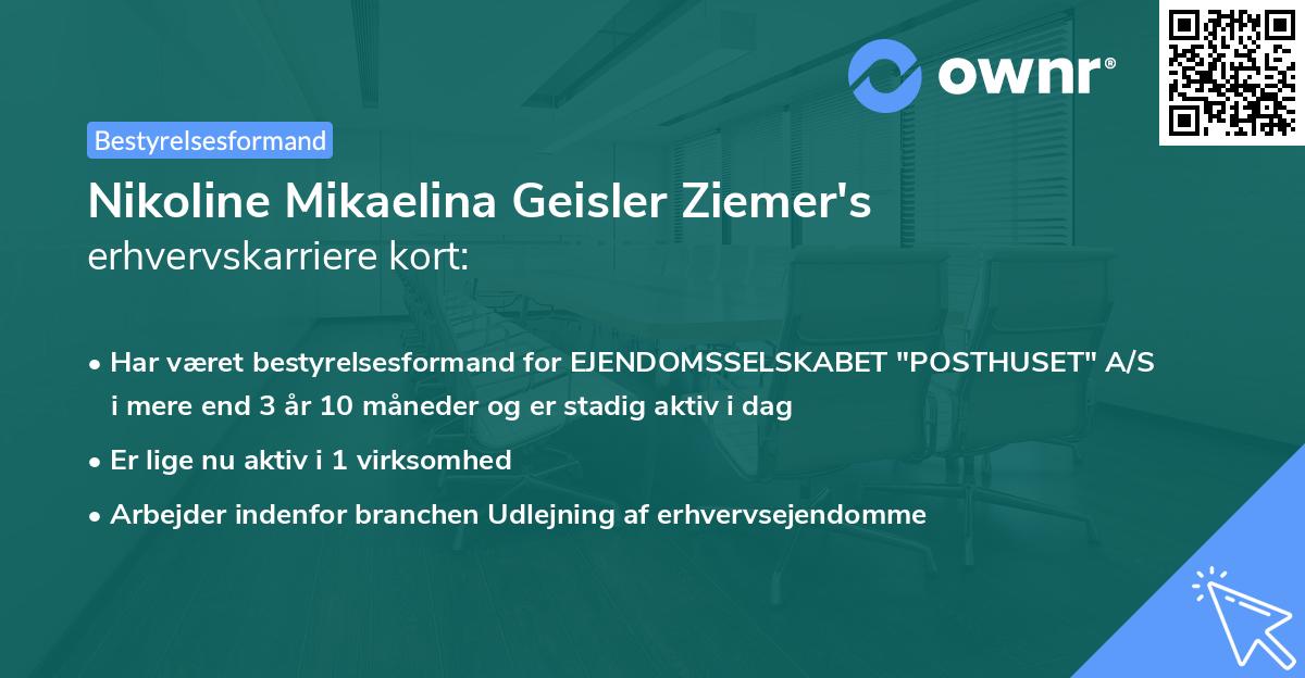 Nikoline Mikaelina Geisler Ziemer's erhvervskarriere kort
