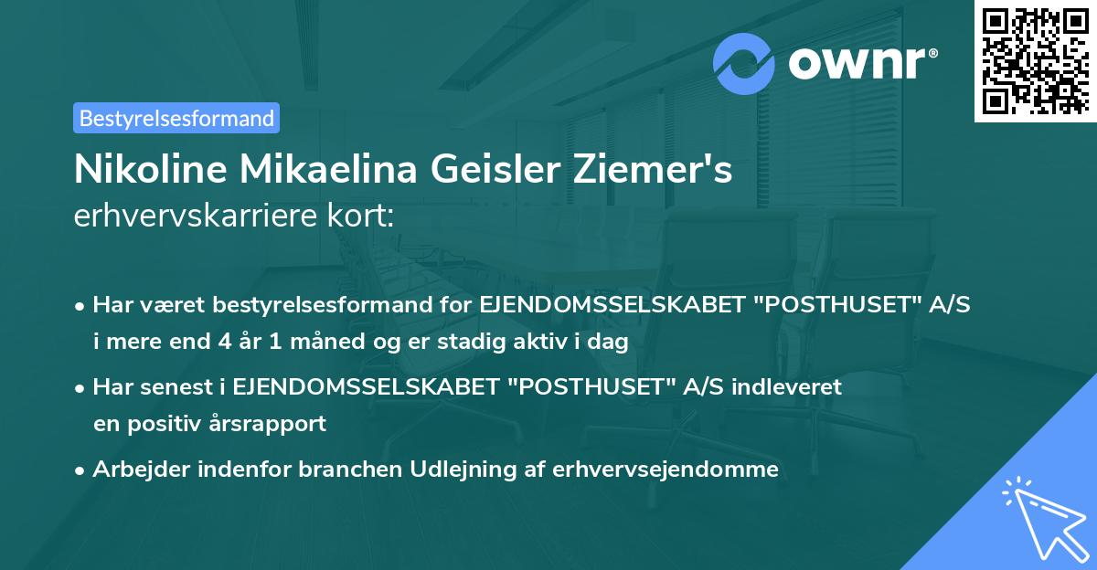 Nikoline Mikaelina Geisler Ziemer's erhvervskarriere kort