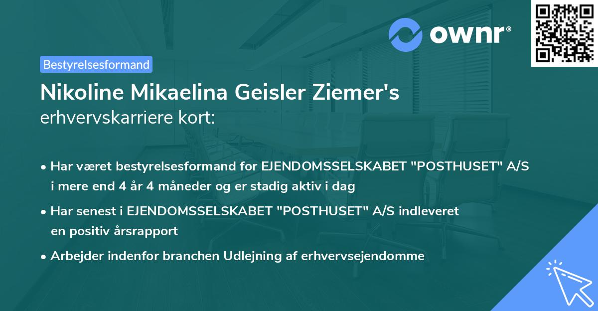 Nikoline Mikaelina Geisler Ziemer's erhvervskarriere kort