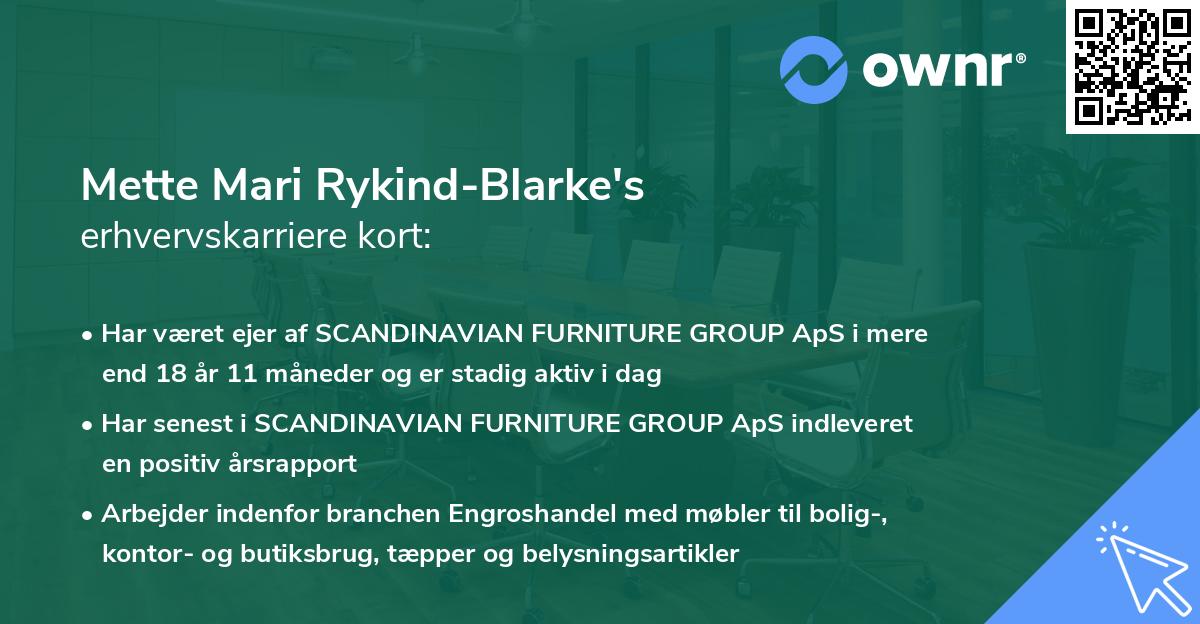 Mette Mari Rykind-Blarke's erhvervskarriere kort