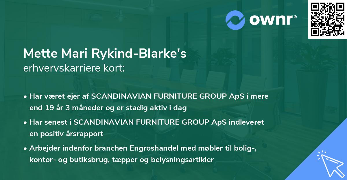 Mette Mari Rykind-Blarke's erhvervskarriere kort