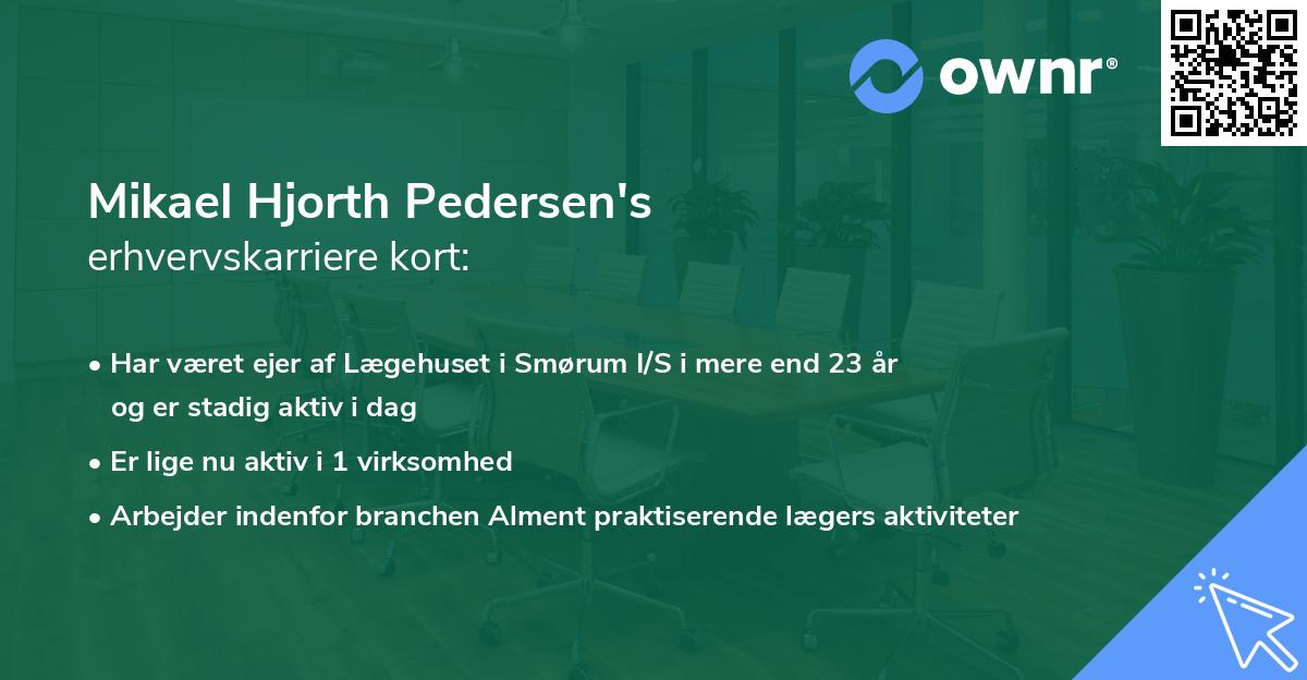 Mikael Hjorth Pedersen's erhvervskarriere kort