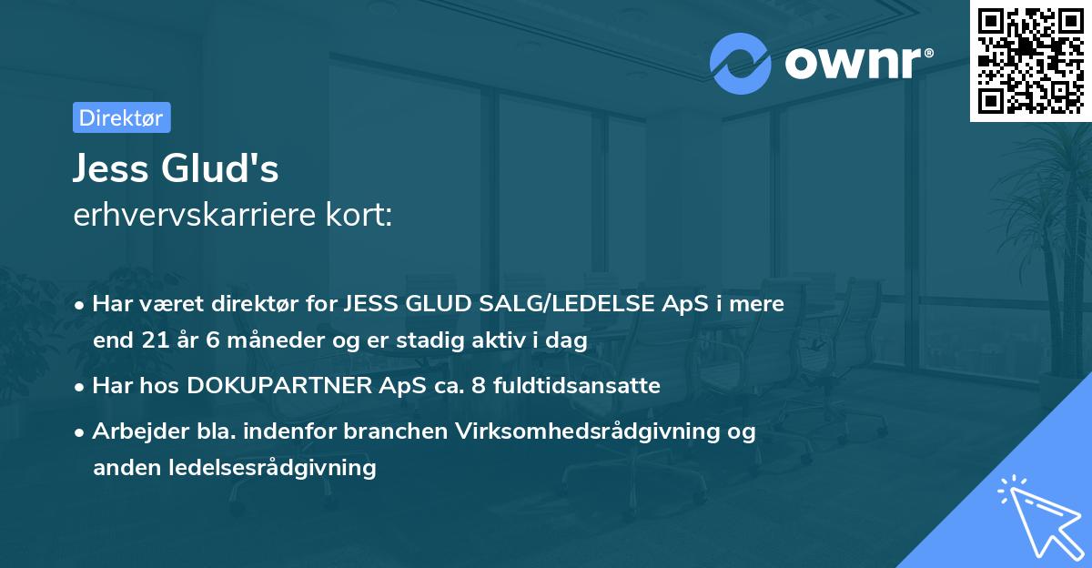 Jess Glud's erhvervskarriere kort