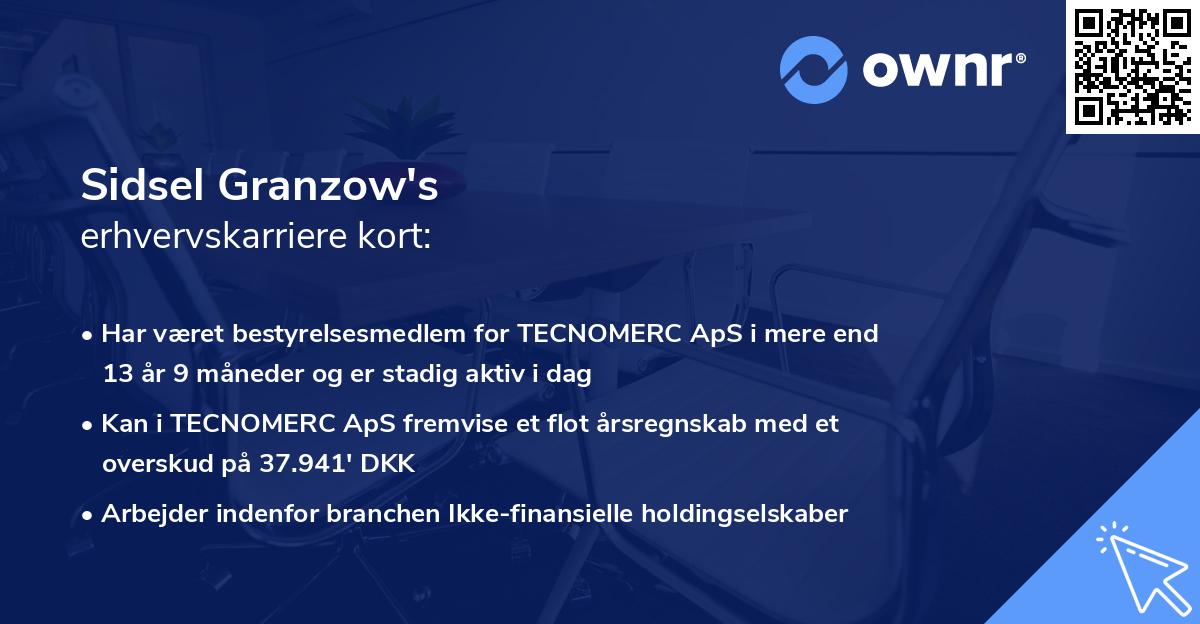 Sidsel Granzow's erhvervskarriere kort