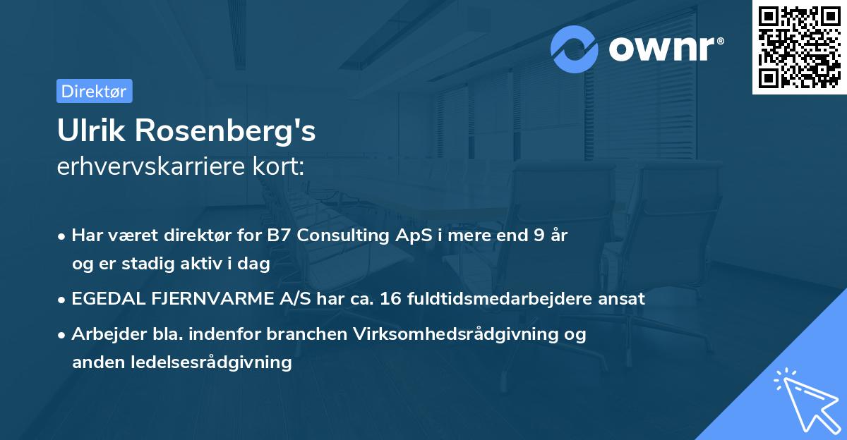 Ulrik Rosenberg's erhvervskarriere kort