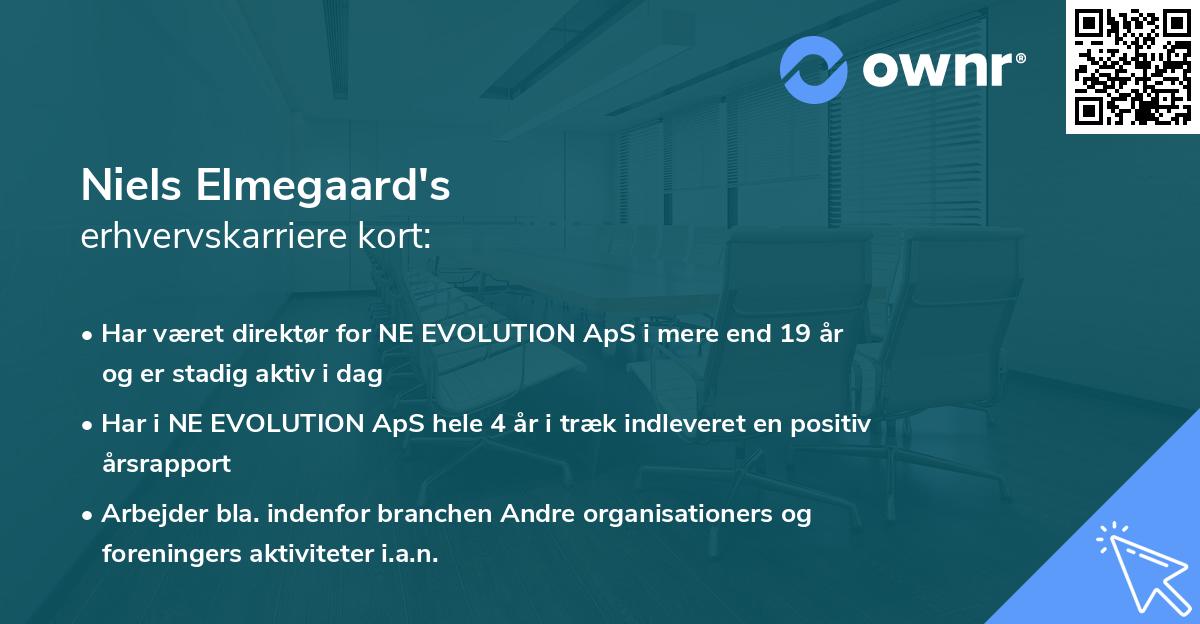 Niels Elmegaard's erhvervskarriere kort