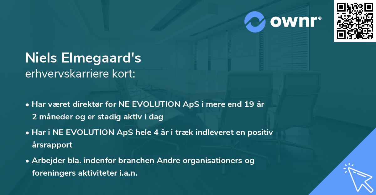 Niels Elmegaard's erhvervskarriere kort