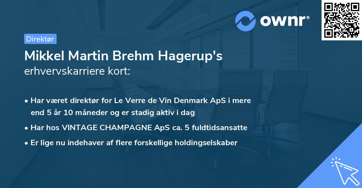 Mikkel Martin Brehm Hagerup's erhvervskarriere kort