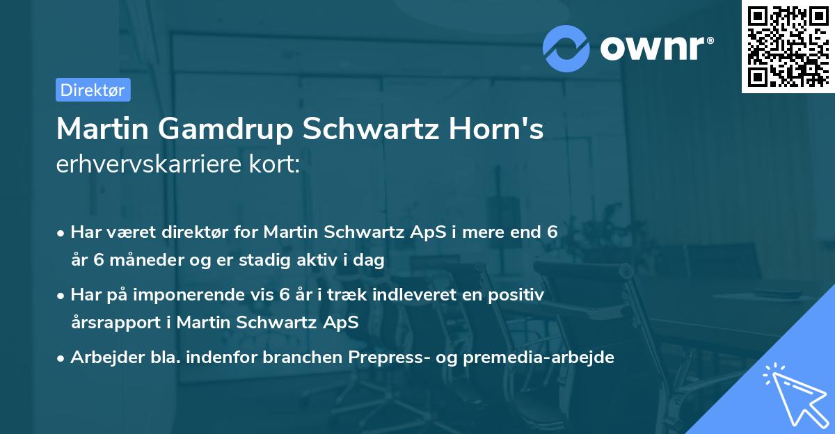Martin Gamdrup Schwartz Horn's erhvervskarriere kort