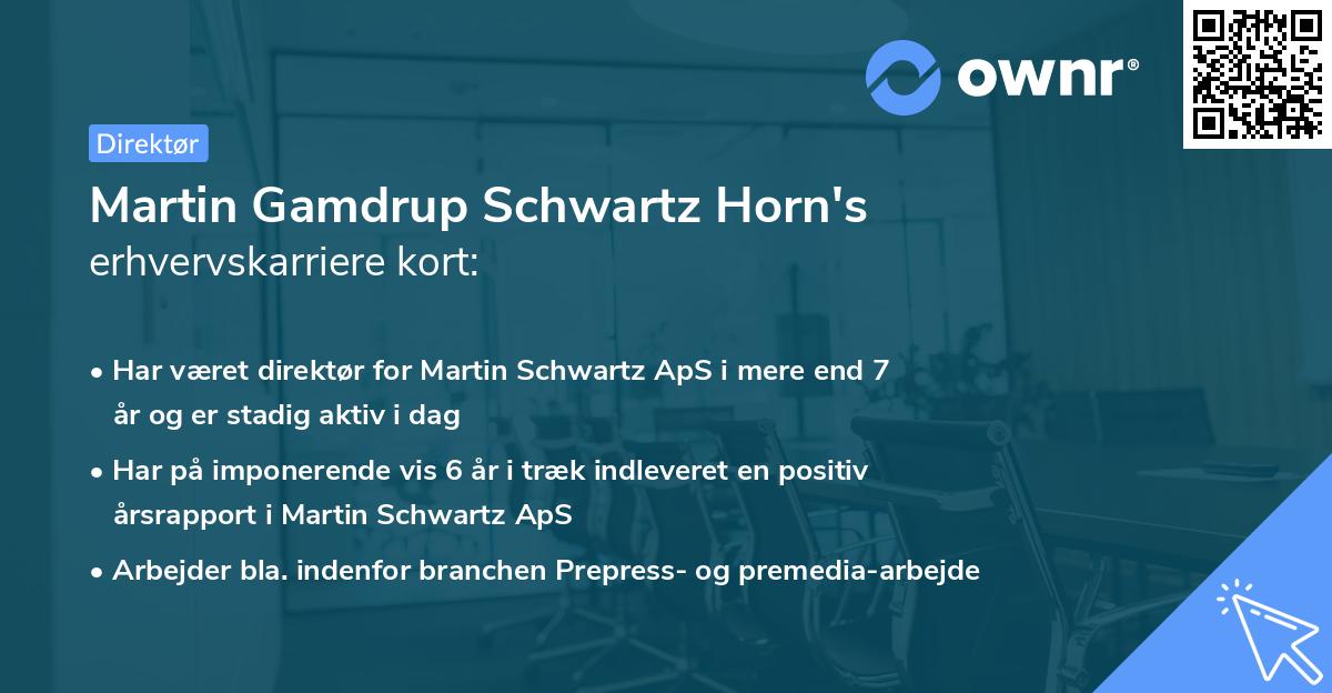 Martin Gamdrup Schwartz Horn's erhvervskarriere kort