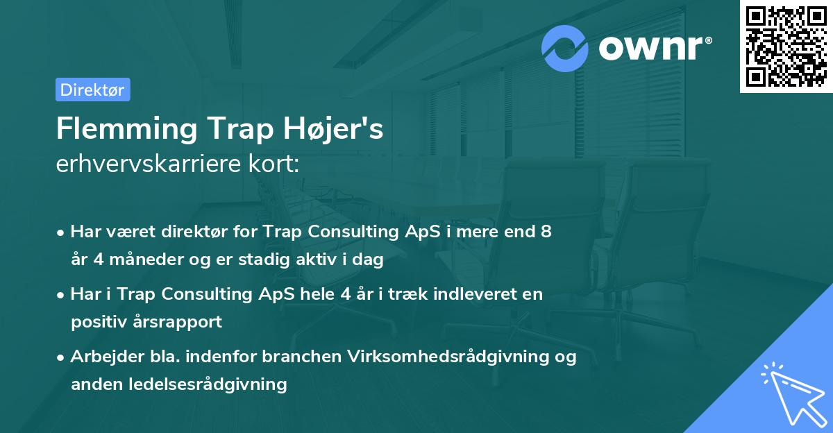 Flemming Trap Højer's erhvervskarriere kort