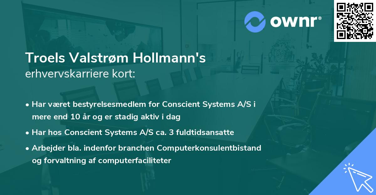 Troels Valstrøm Hollmann's erhvervskarriere kort