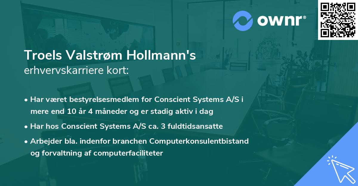 Troels Valstrøm Hollmann's erhvervskarriere kort