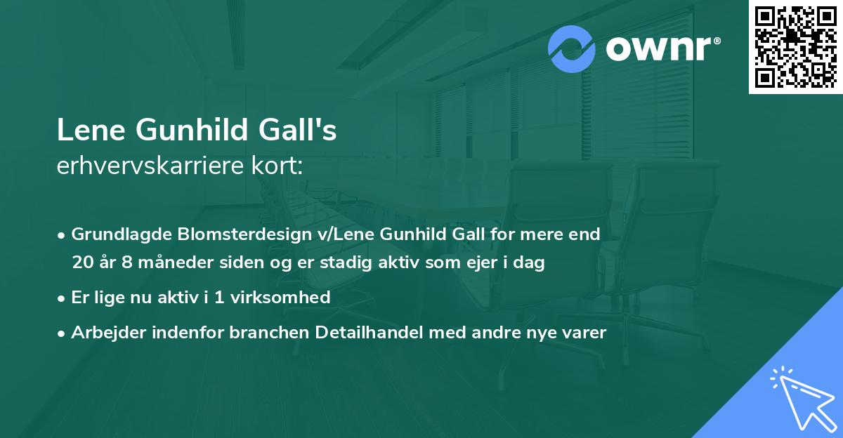 Lene Gunhild Gall's erhvervskarriere kort