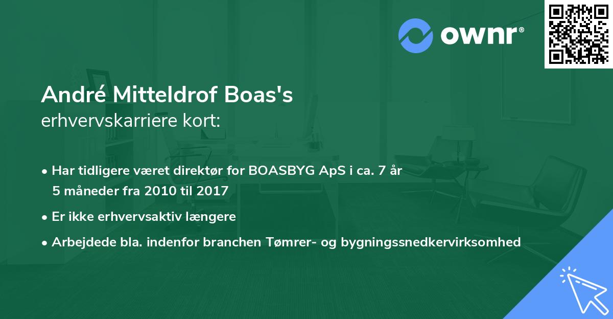 André Mitteldrof Boas's erhvervskarriere kort