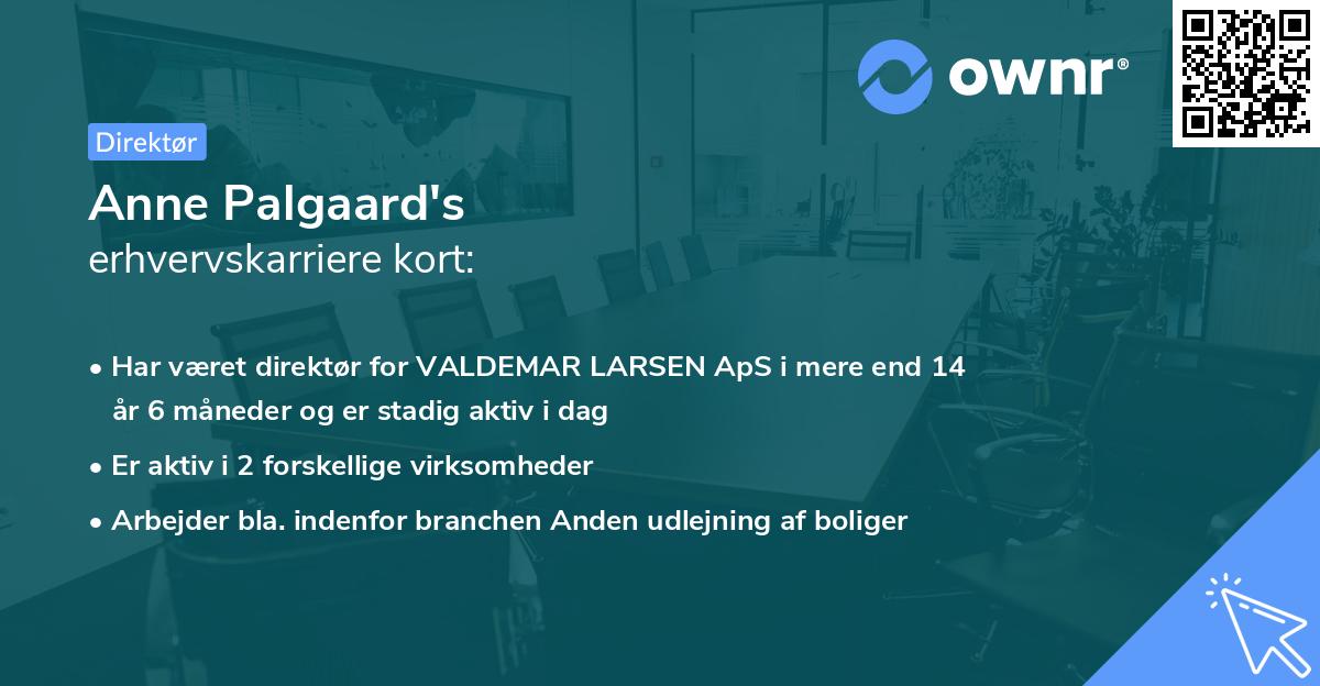 Anne Palgaard's erhvervskarriere kort